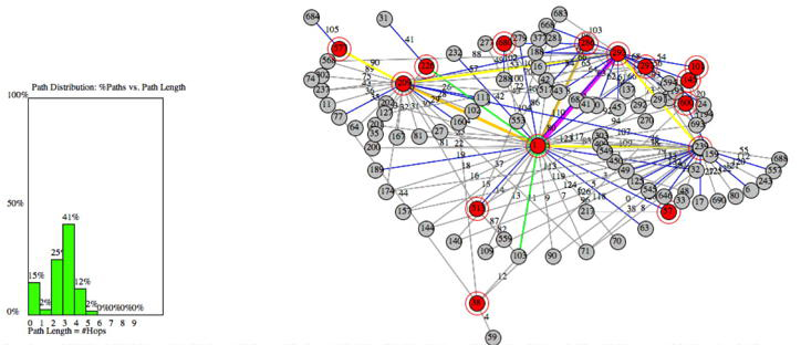 Figure 1a. The 15 blocking nodes (red and circled) in the 100 most-connected autonomous systems of the 2004 Internet illustrate Internet fragility. http://www.caida.org. Blocking nodes are nodes that segment the Internet into disjoint islands, if removed. The average length of shortest path is 2.4 hops and the maximum length is 5 hops, and there are 134 links. The most-used links are colored magenta and red; the least‐used are gray, blue, and green. Yellow and orange links fall in between. 